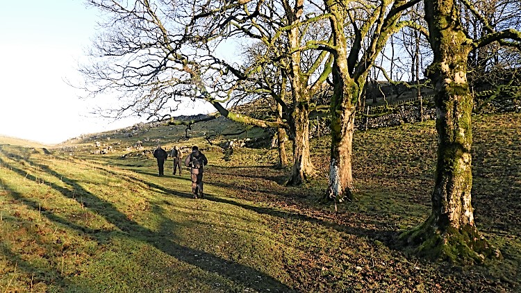 On the Pennine Way from Malham Tarn