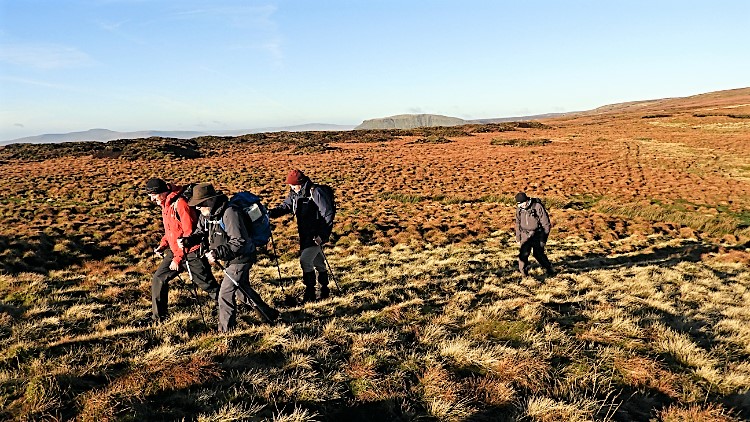 Making a trail to Out Moor