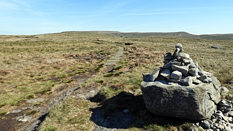 Pennine Way leading to Black Hill Moss