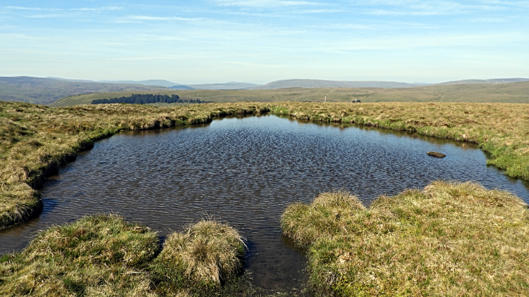 Anonymous tarn on Black Hill Moss