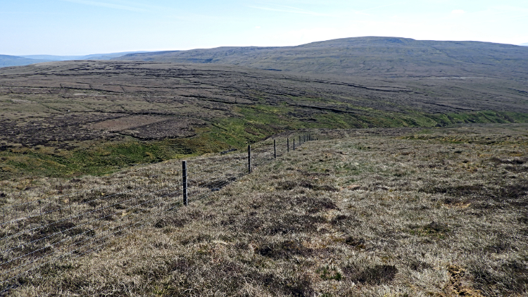 Near Little Shunner Fell