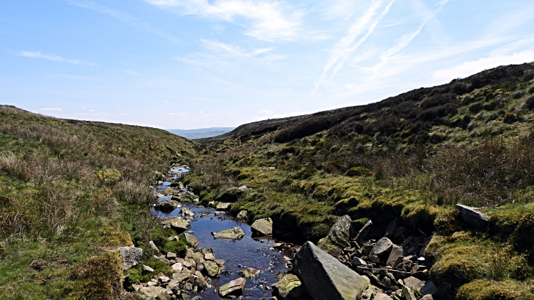 Cogill Beck