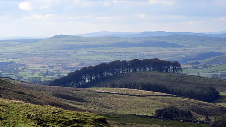 View south from Horton Scar