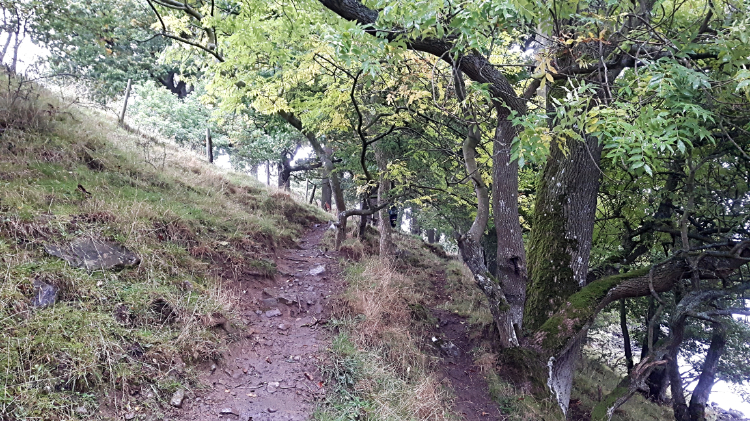 Climbing from the riverside near Ewelop Hill