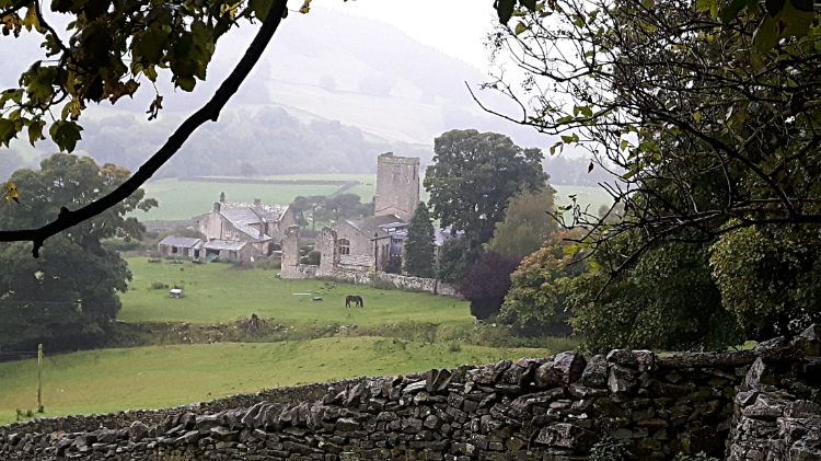 View from Steps Wood to Marrick Priory