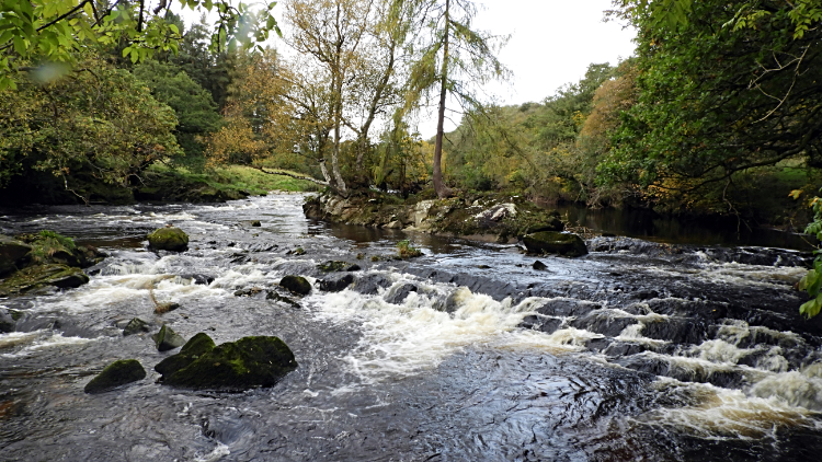 River Wharfe rapids near Stangs Lane Bridge