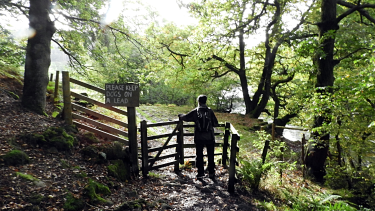 Following the River Wharfe to Stangs Lane Bridge