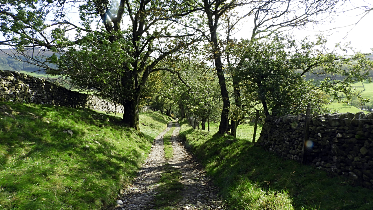 The steep lane down into Appletreewick