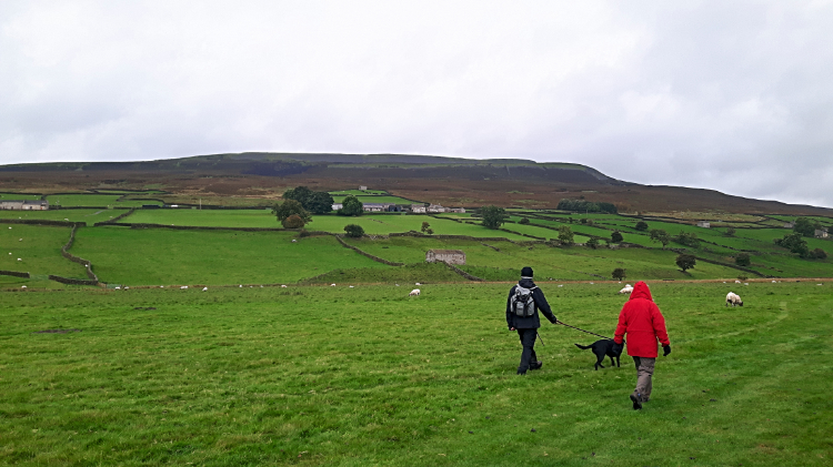 View to Harkerside Moor