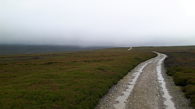 In the murk of Harkerside Moor