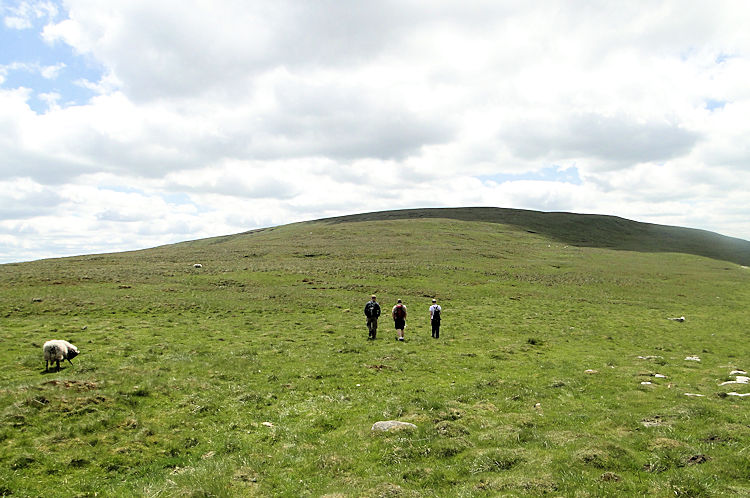 Dodd Fell Hill