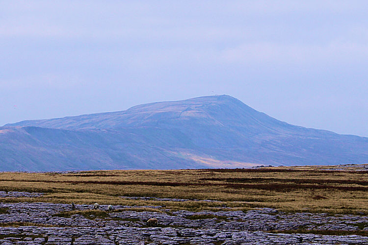 Whernside