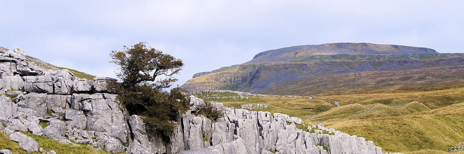 Looking from Crina Bottom to Ingleborough