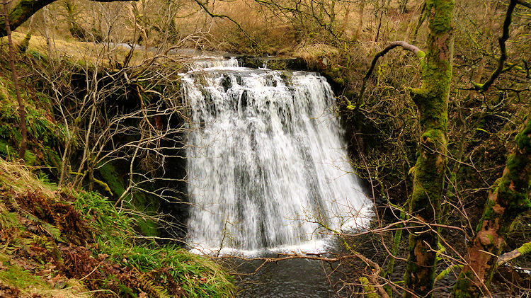 Aysgill Force