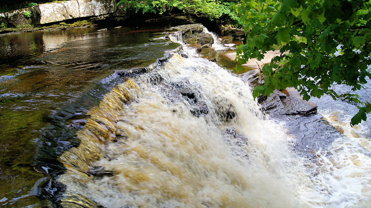 Catrake Force