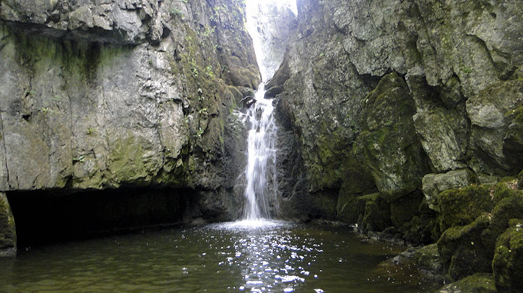 Catrigg Force