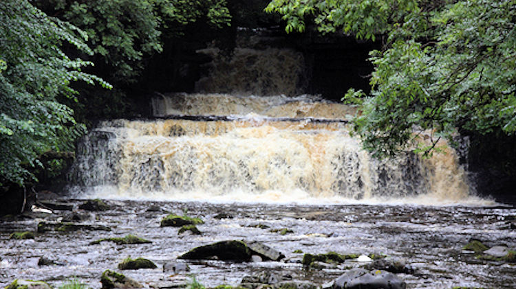 Cotter Force