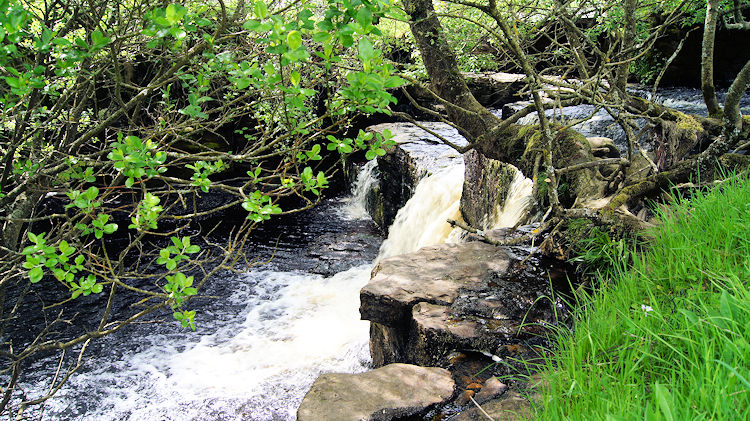 Currack Force