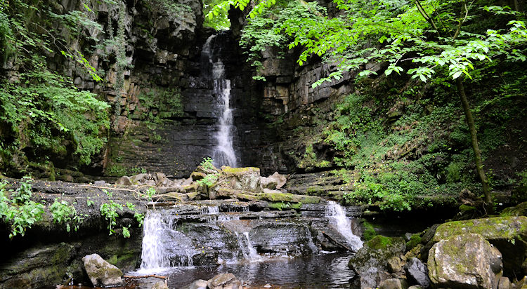 Mill Gill Force