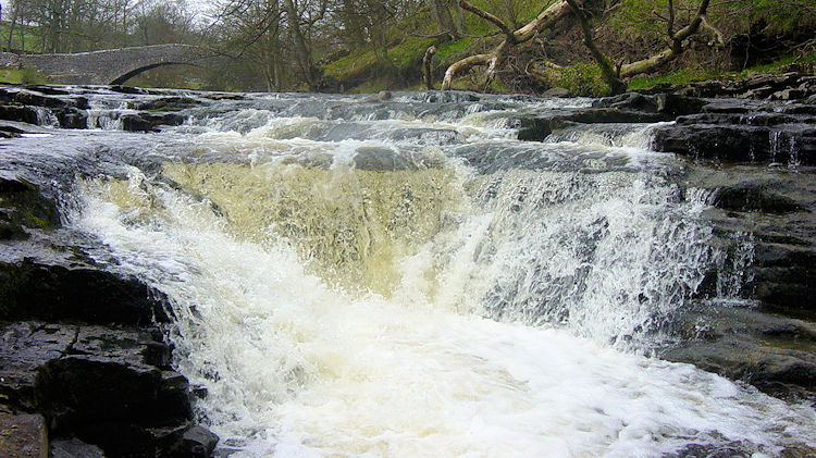 Stainforth Force