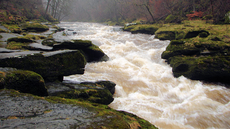 The Strid