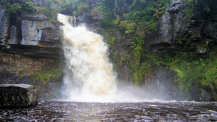 Thornton Force