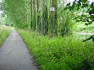 Passing Mill Pond on the bridleway from Welton