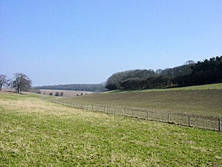 Yorkshire Wolds countryside