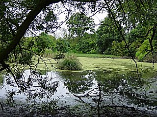 The pond at Wauldby Dam