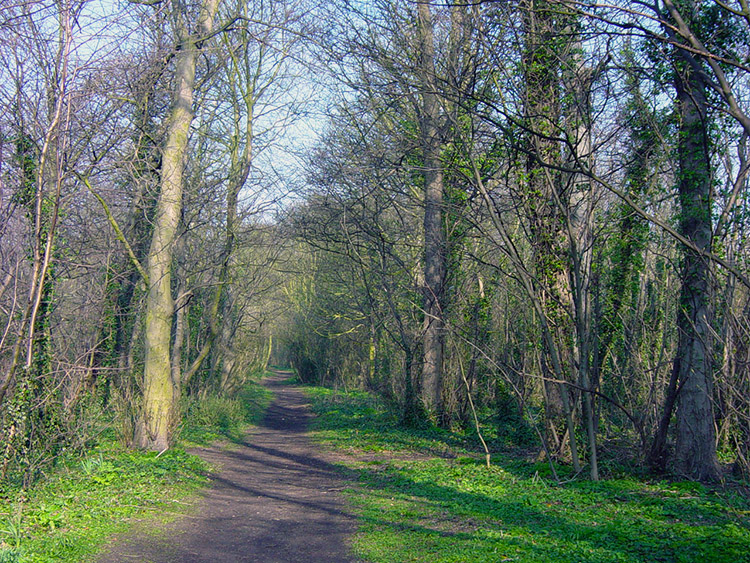 Long Plantation