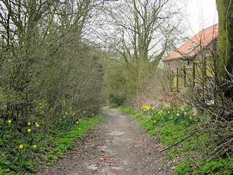Path from Goodmanham to Beggar's Bush Well