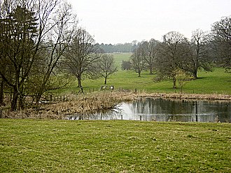 The Lake in Londesborough Park