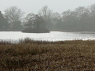 Haven for Wild Fowl