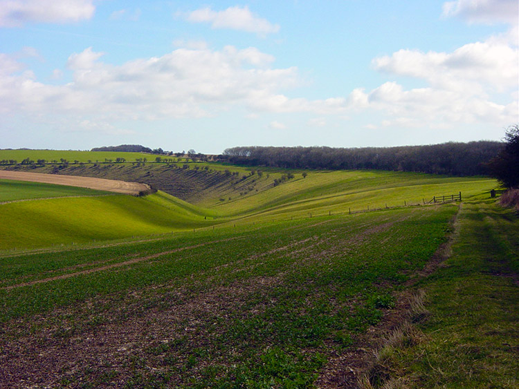 View to Deep Dale from Toisland Wold