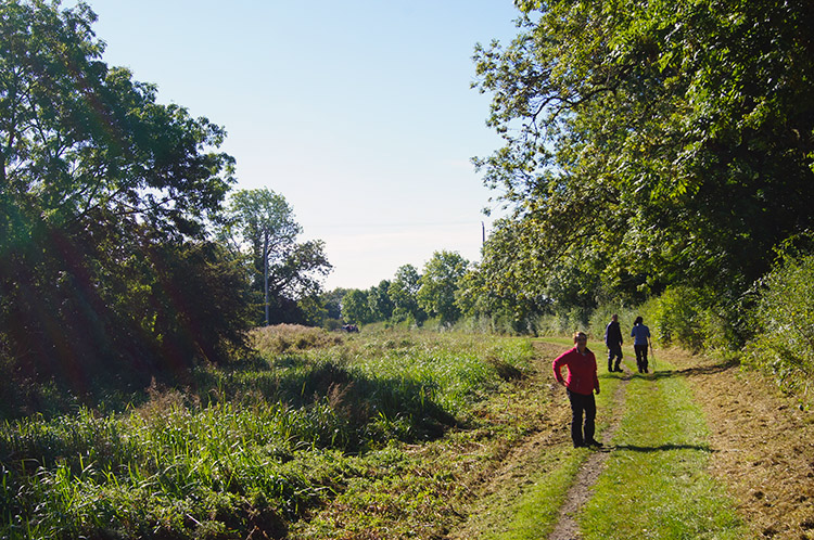 Walking along Pocklington Canal