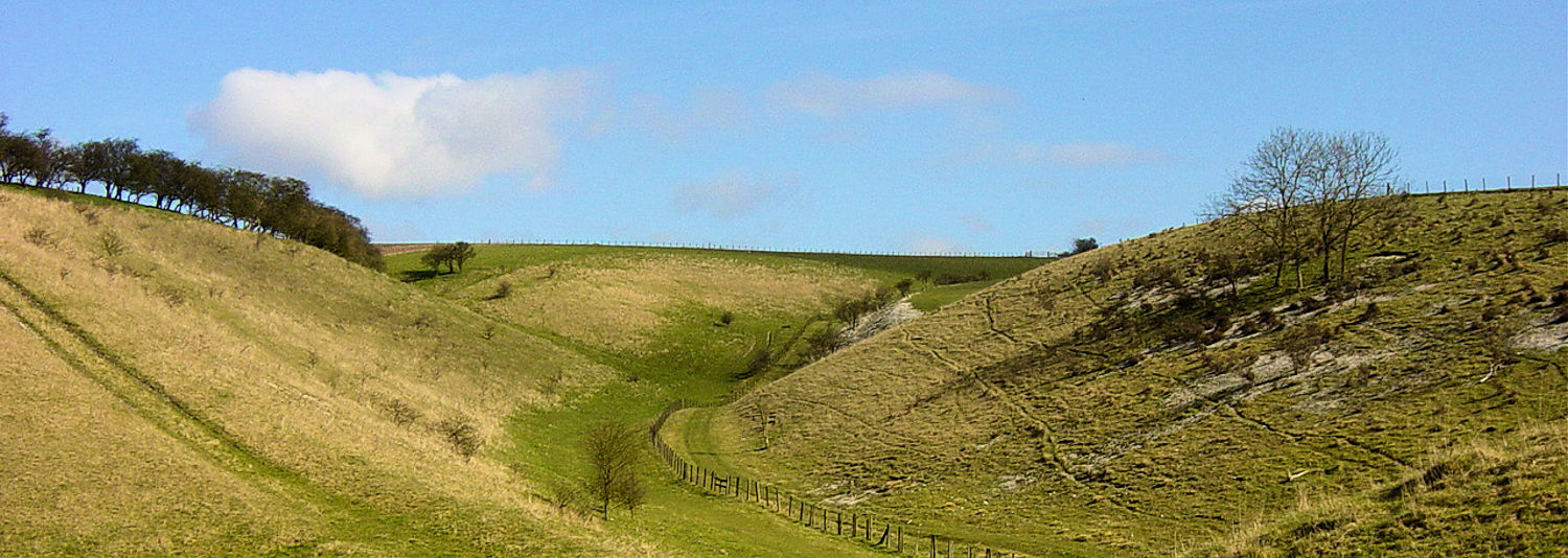 Millington Dale