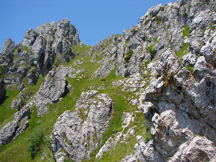 The trail up the southern slope of Monte Grona to the summit