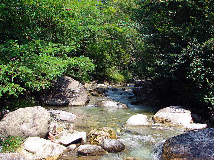 Crossing point of the river in Val Sanagra at Madri