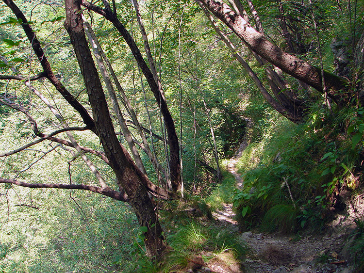 The track was exposed with an alarming drop between Madri and Sas Curbee