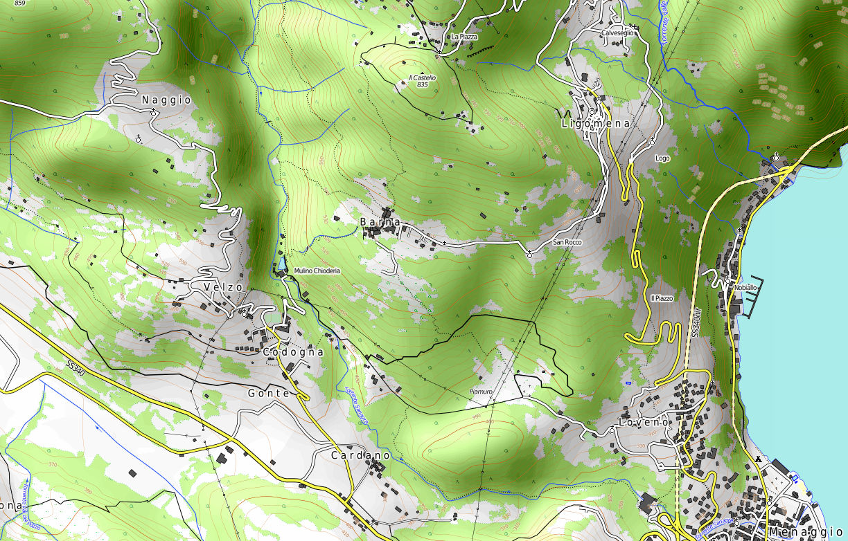 Map of the Monte Grona Area