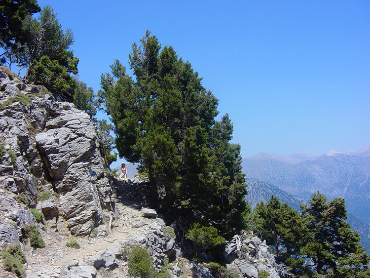 The path to Linoseli Col