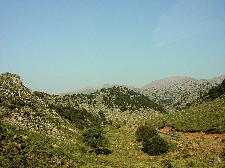 A White Mountains view