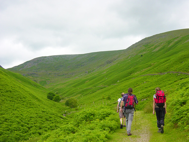 Following the Tongue Gill path