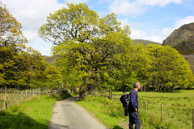 Newlands Valley