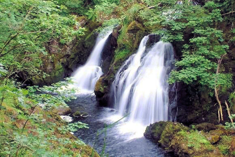 Colwith Force