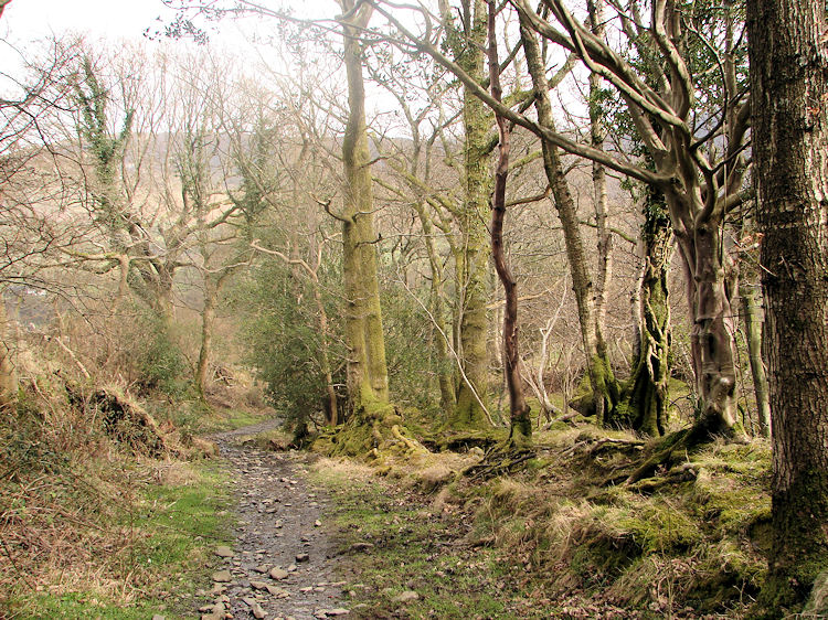 Following the track back to Thackthwaite