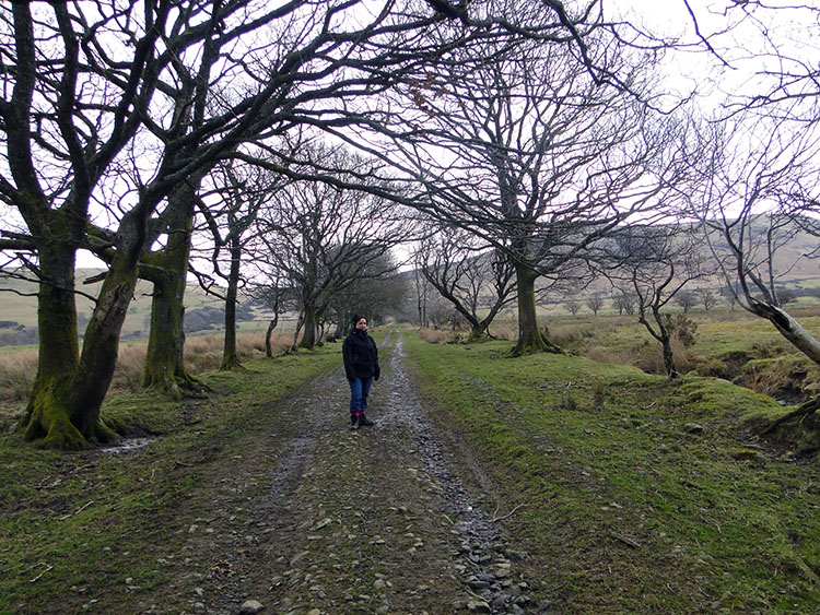 Walking up the bridleway towards Binsey