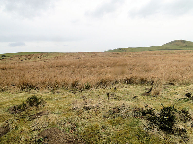 The site of Caermote Roman Settlement