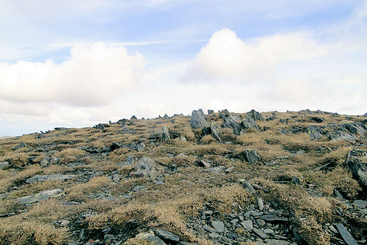 Skiddaw Slate