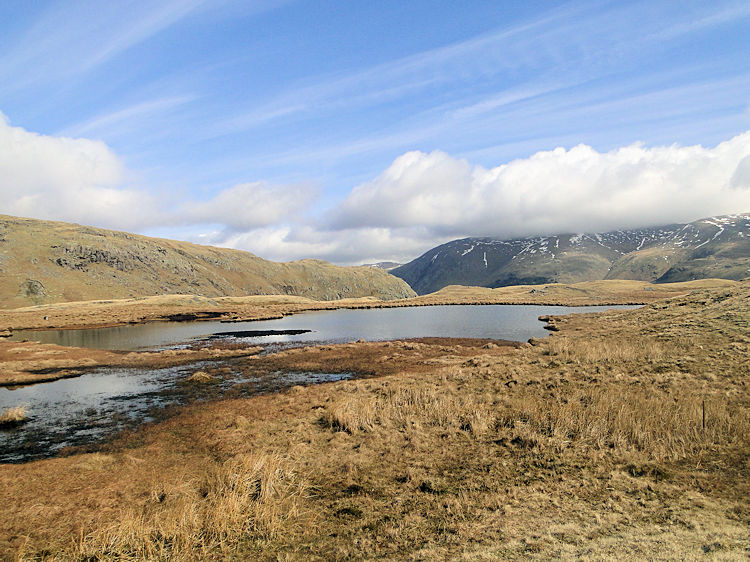 One of the small tarns at Brownrigg Moss